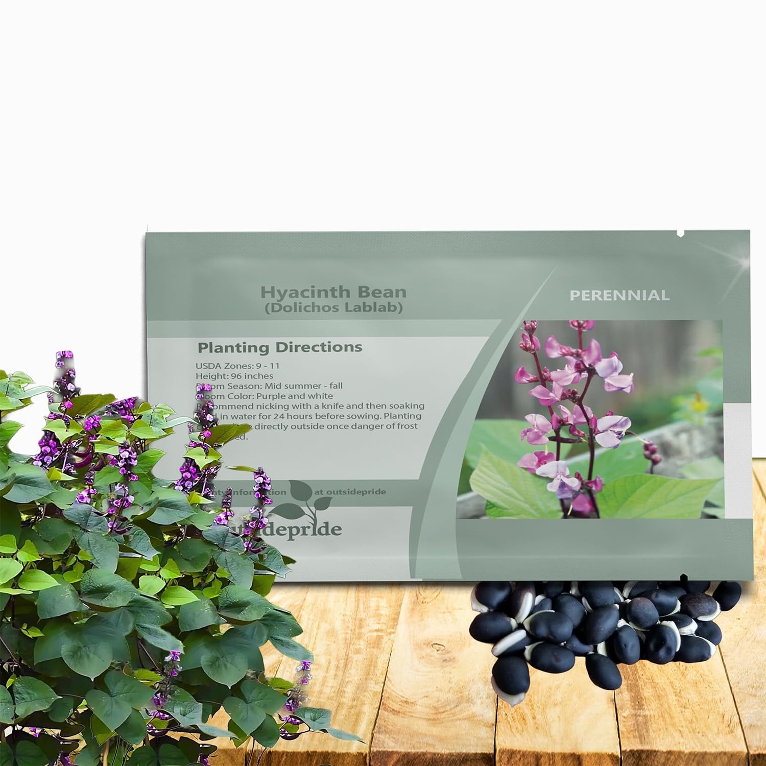 Lablab Hyacinth Bean Seeds 100 Pcs FastGrowing Edible Vine for Gardens