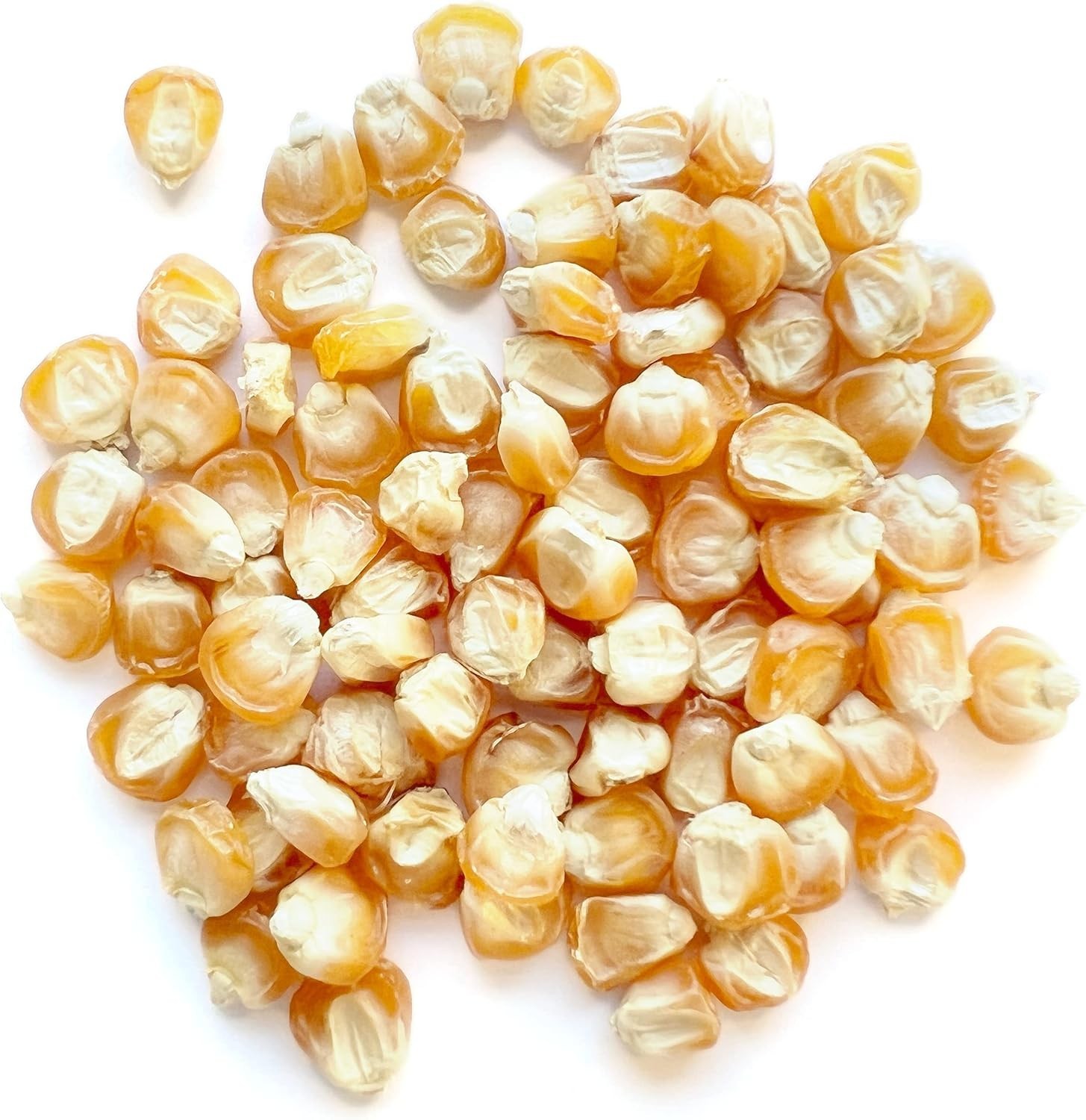 Grow Sweet Corn: 75 Non-GMO Heirloom Golden Bantam Seeds for Spring Planting