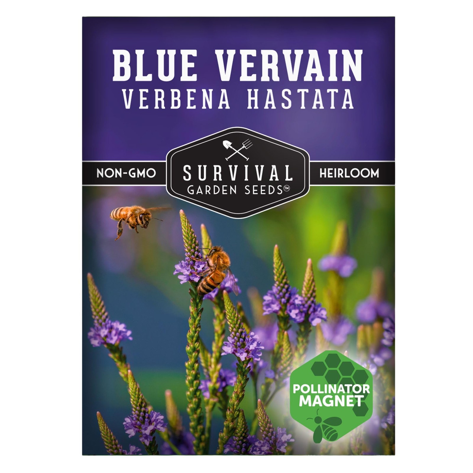 Blue Vervain Seeds for Planting (Verbena Hastata) | North American Native Wet…