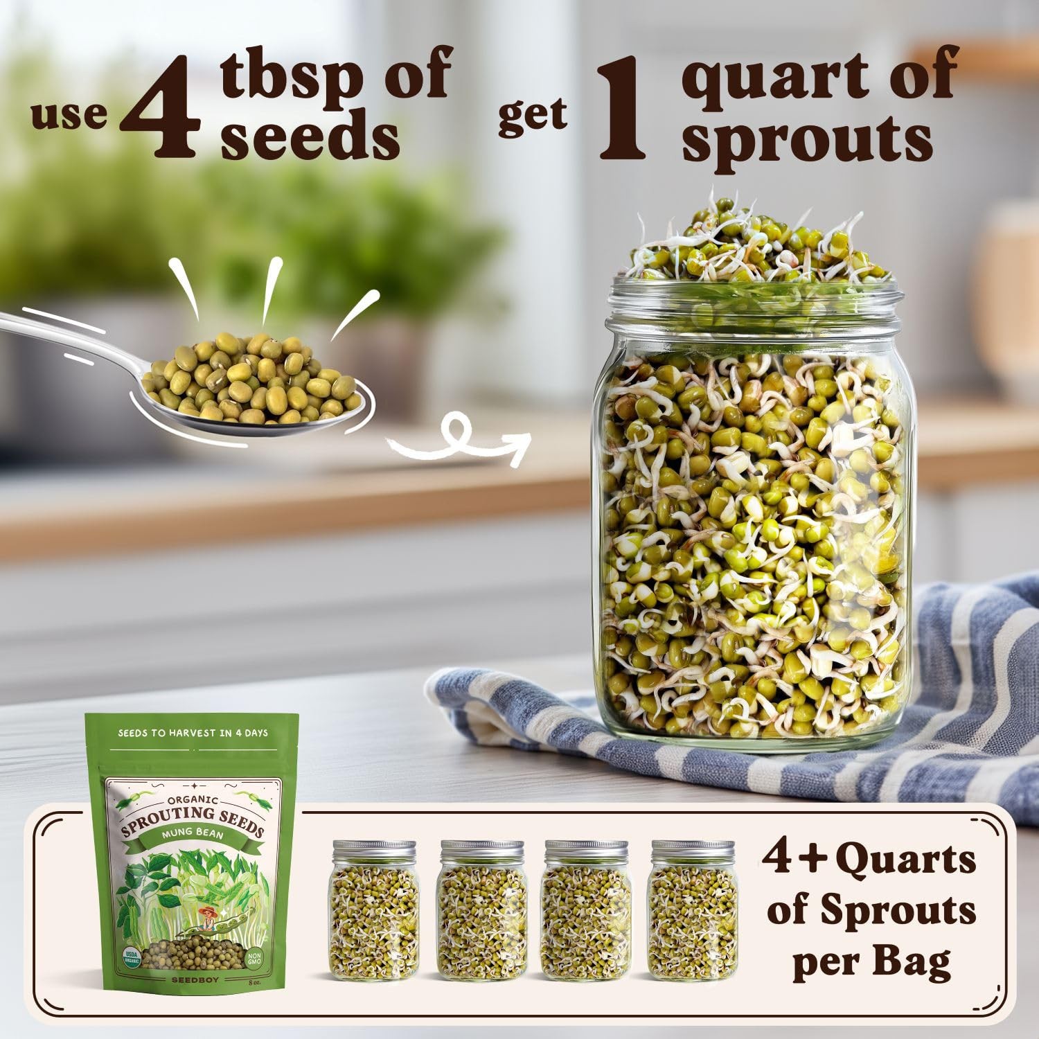 Organic NonGMO Mung Bean Seeds for Sprouting 8 oz Bag, 24 Servings