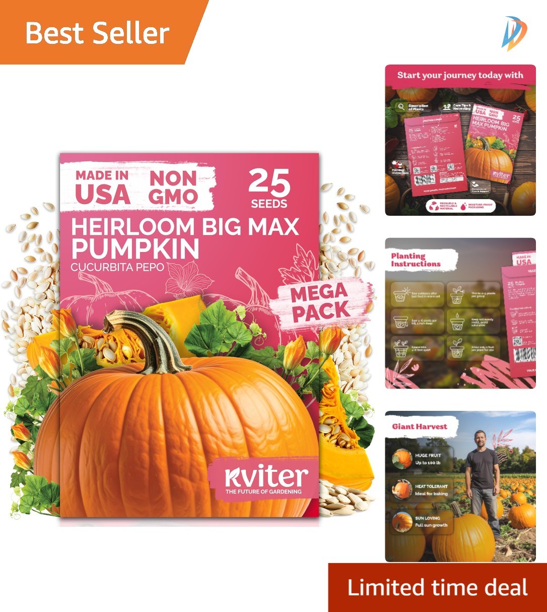 25 Big Max Pumpkin Seeds – Low Maintenance, Giant Organic Heirloom Variety