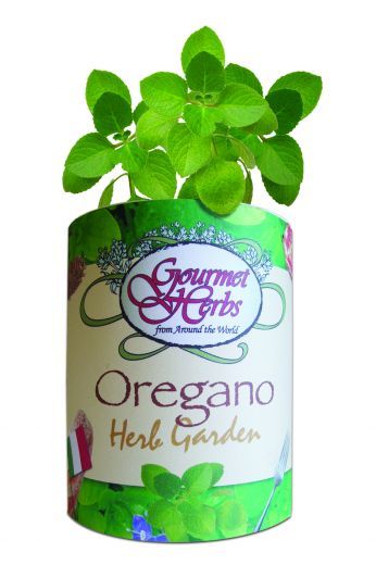 Gifts That Bloom, OREGANO Gourmet Herb Garden GroCan Blooms – Gift Grow Can