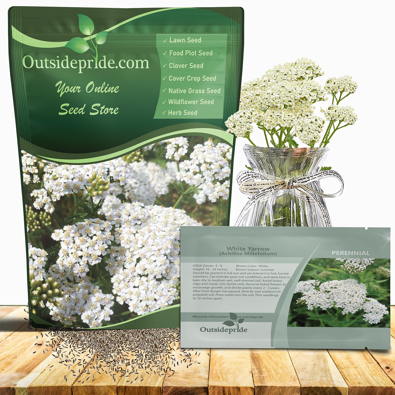 5000 Seeds Achillea White Yarrow Seeds For Planting | Yarrow Wild Flower Seeds