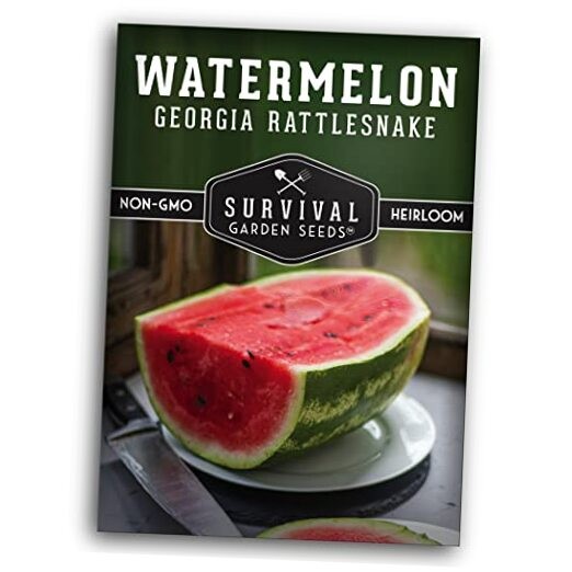 Georgia Rattlesnake Watermelon Seeds – Large Heirloom Southern Melon for 1