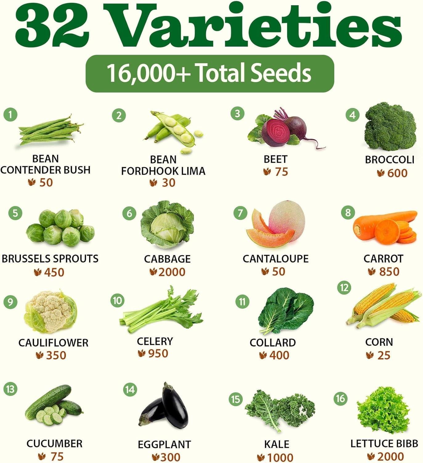 Vegetable Fruit Seeds Kit 32 Varieties Non-GMO Heirloom for Home Garden