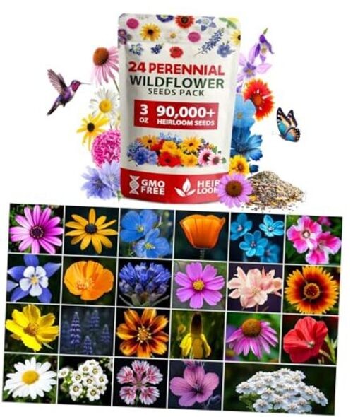 90,000+ Wildflower Seeds Mix 3oz 24 Varieties 1-Pack Wildflower Perennial XL
