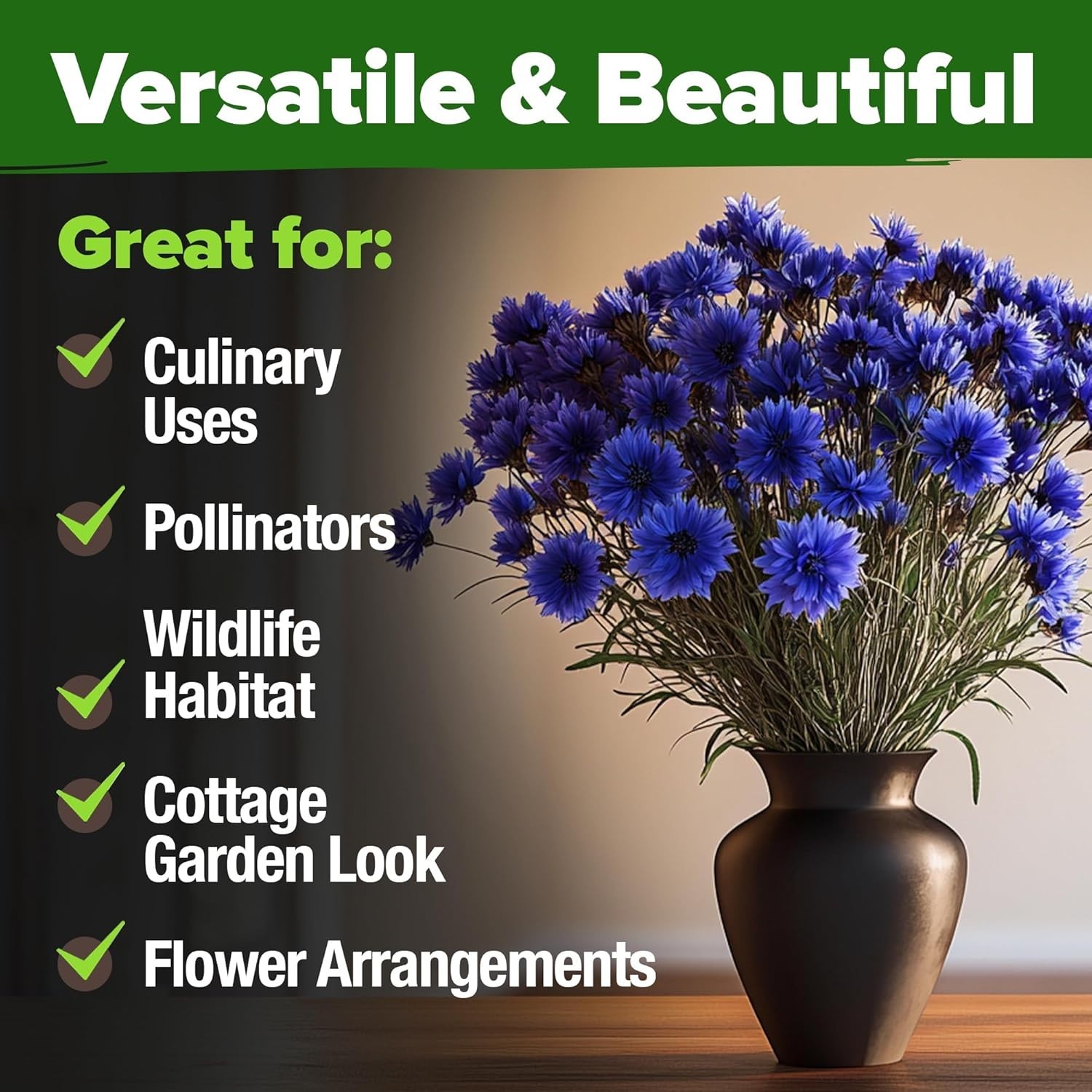 Stunning 6000 Cornflower Seeds – Bachelor Button for Vibrant Wildflower Spaces