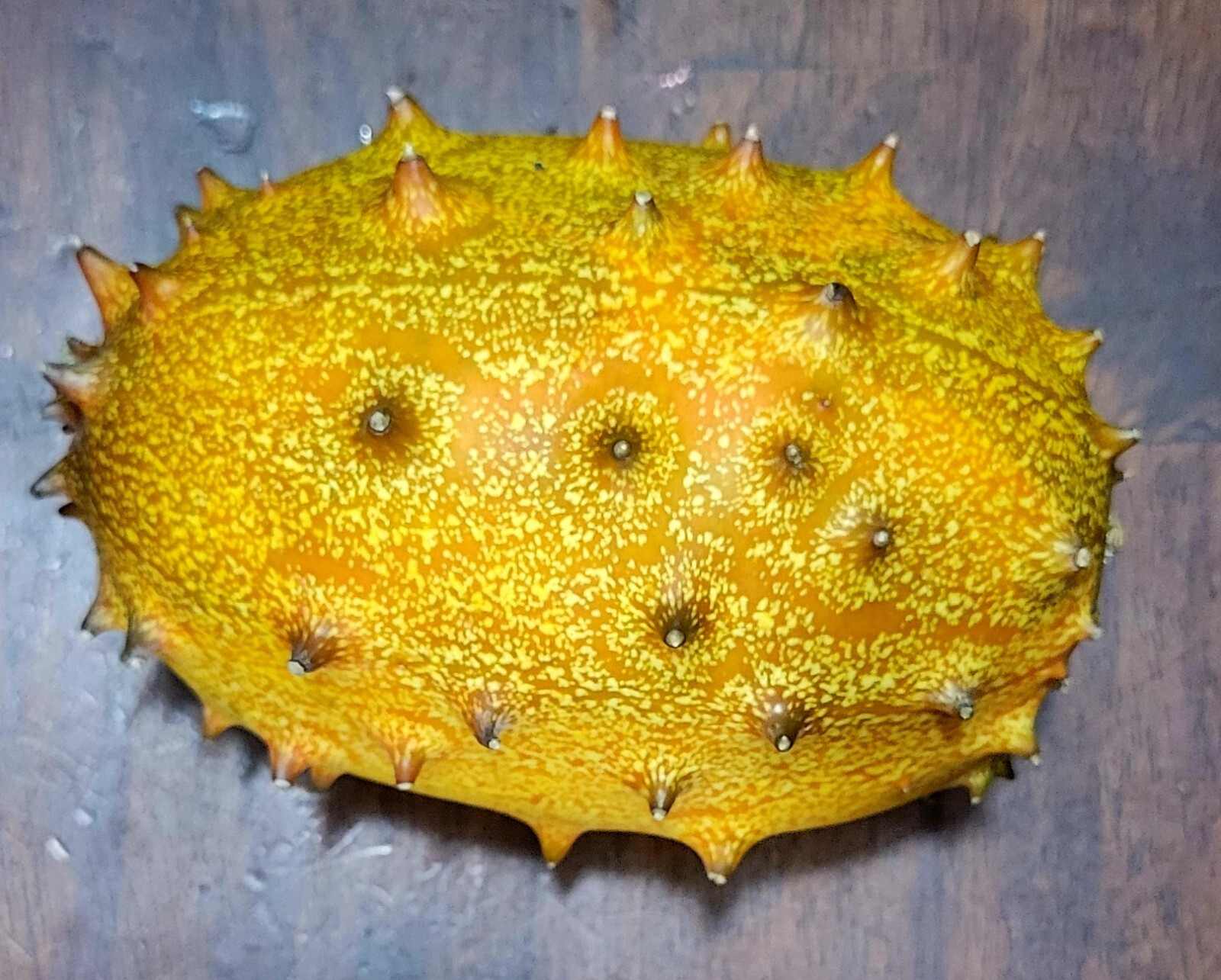 Kiwano Melon 20 Seeds, Cucumis metuliferus, Horned Melon, Heirloom Cucumber