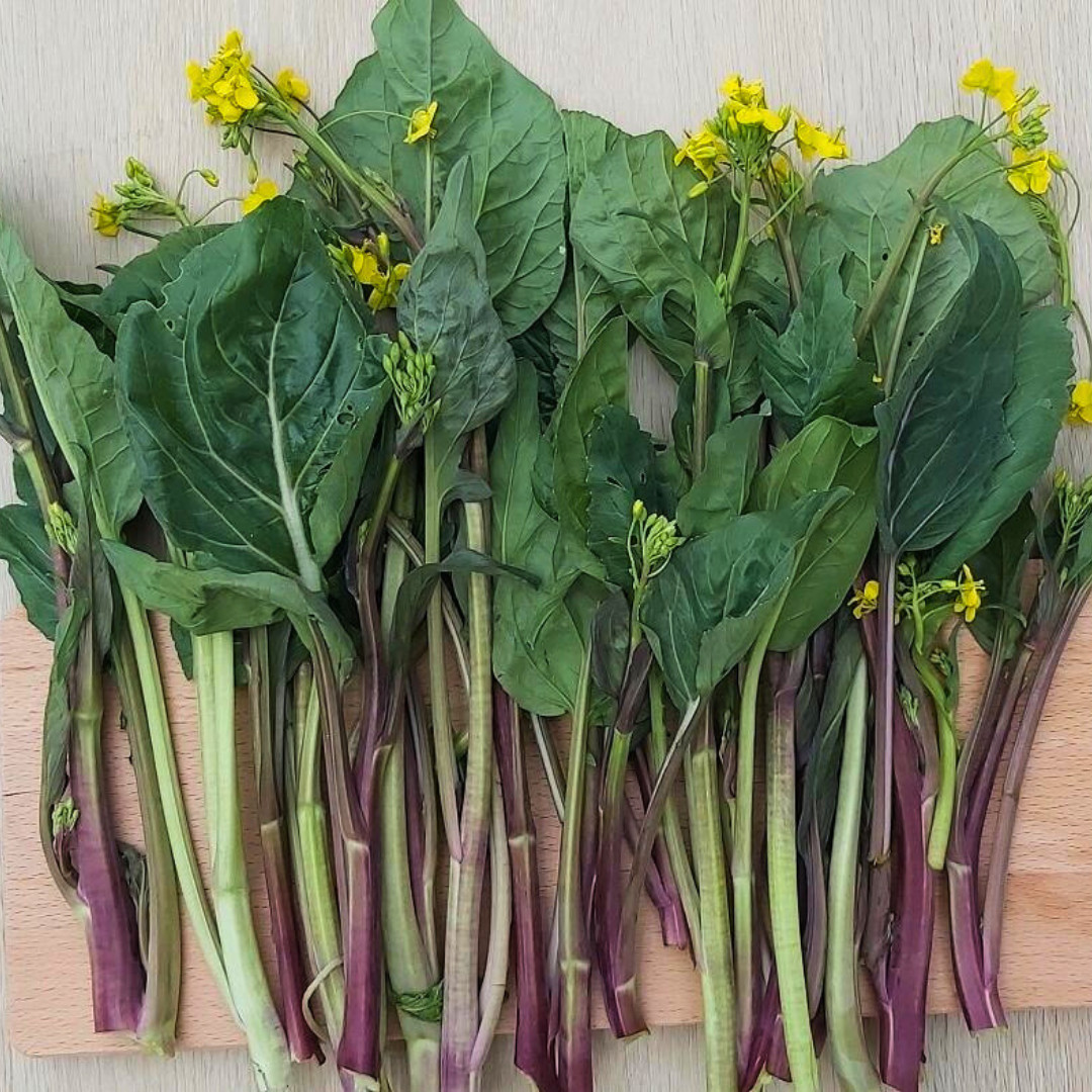 Fresh Hon Tsai Tai Seeds | Kosaitai | Heirloom Non-GMO | Asian Vegetable