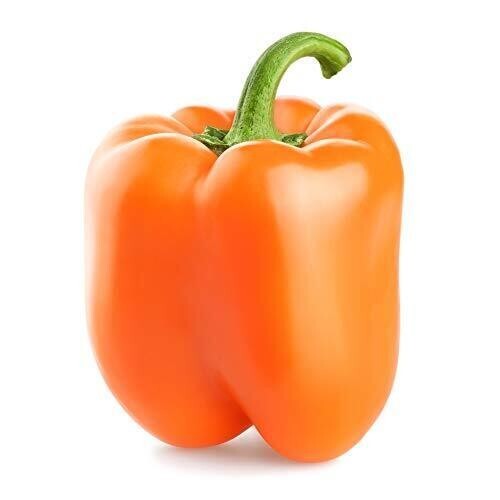 30+Organic Orange Sun Sweet Bell Pepper Seeds Fresh Garden USA