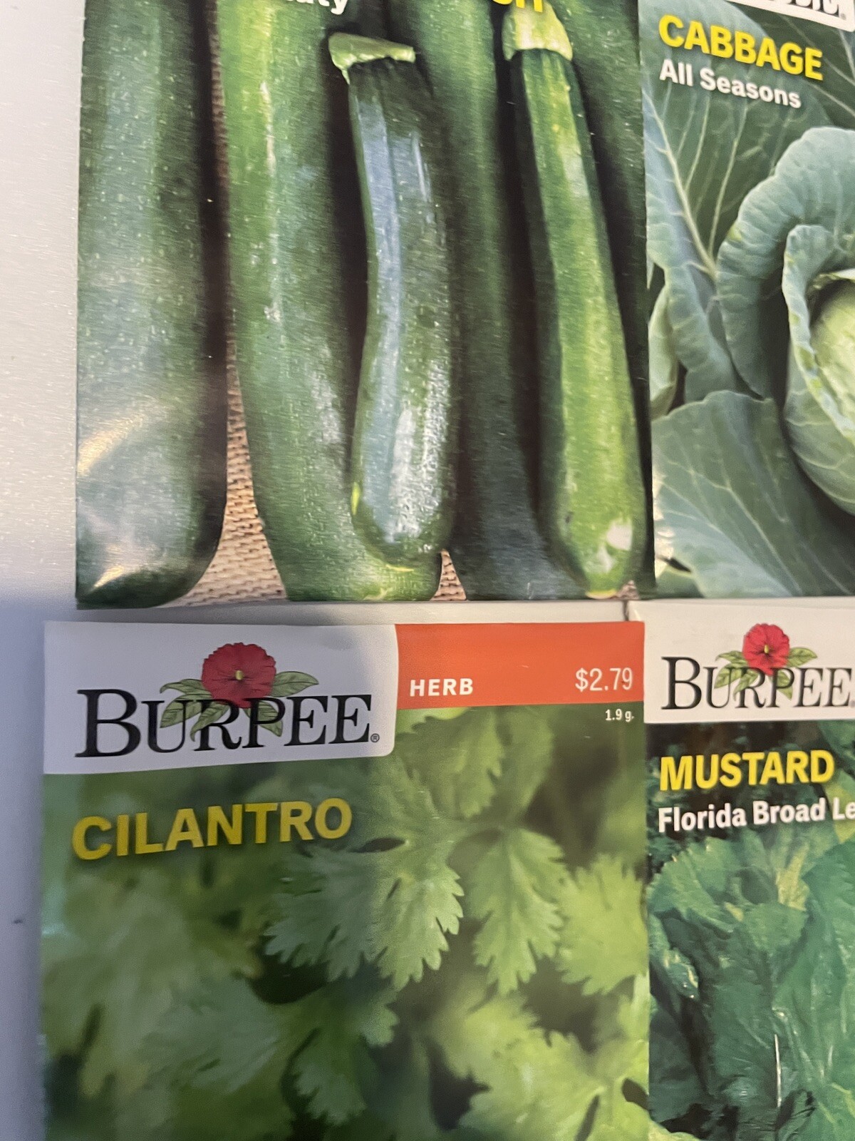 Garden Seeds Lot of 22 Packs of Burpee Vegetable & Herbs Dated 2021