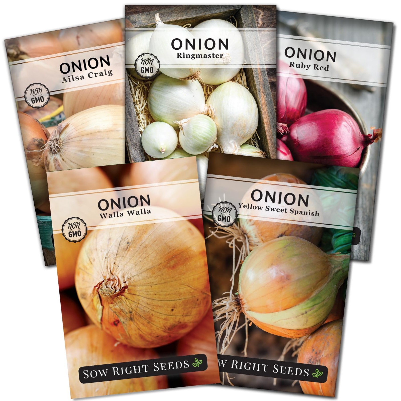 Sow Right Seeds Long Day Onion Seed Collection for Planting Yellow Sweet Sp…