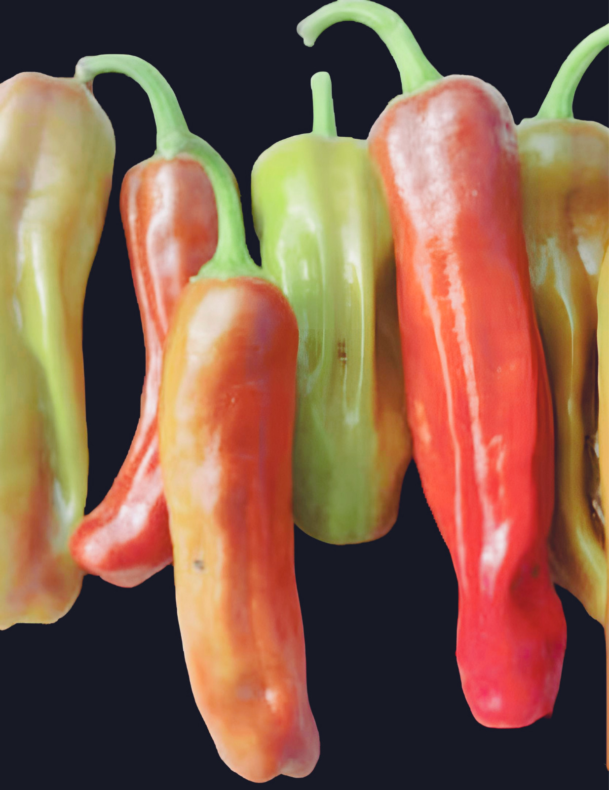 Pepperoncini Italian, Pepper Seeds | 40+ Seeds | NON-GMO |