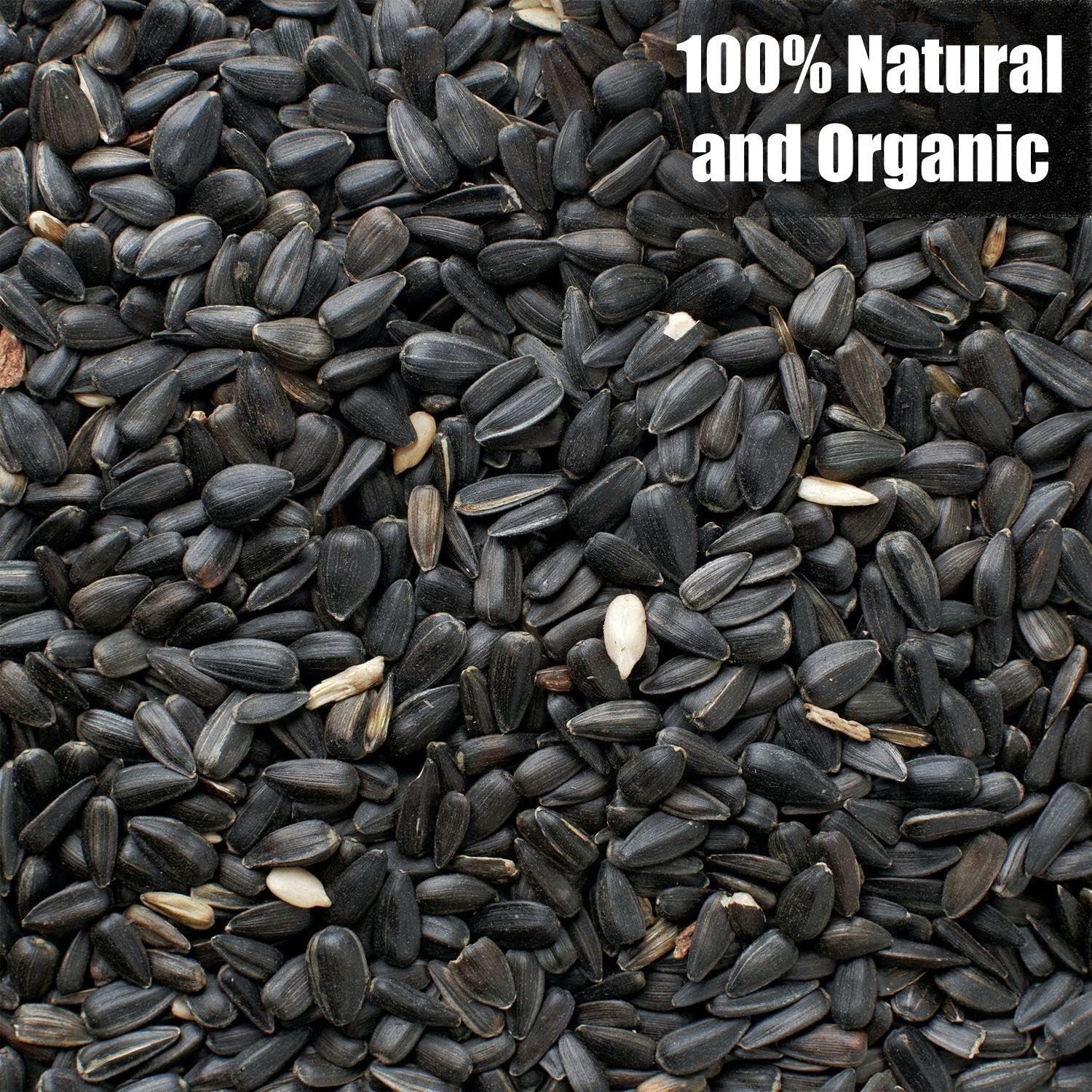 Wildlife Black Oil Sunflower Seeds for Birds and Wildlife, Non-GMO & Grown o…