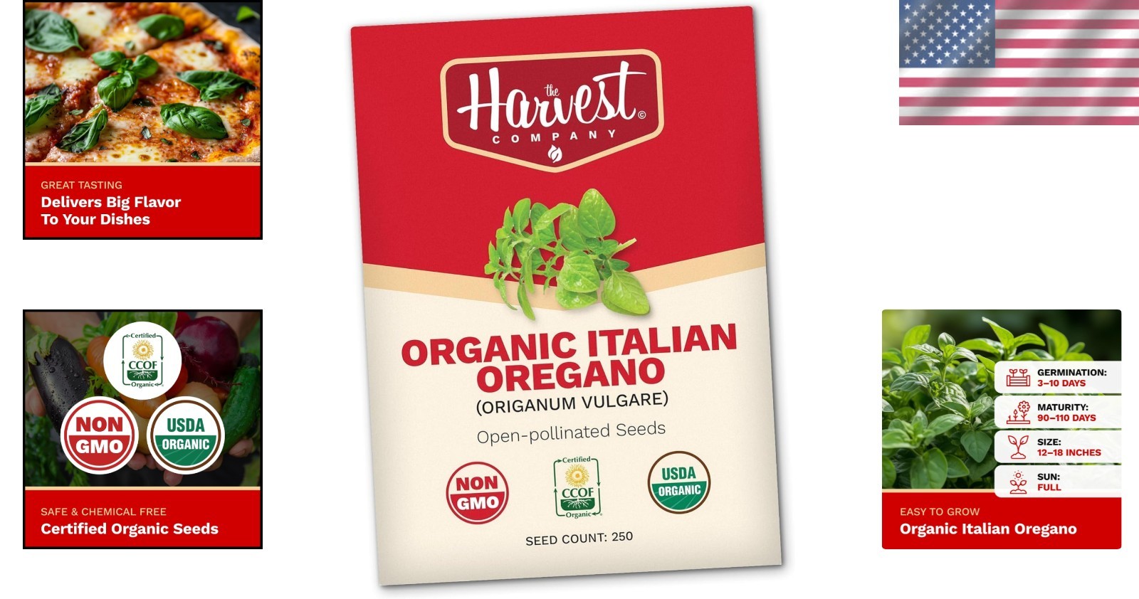 Organic Italian Oregano Seeds with Growing Tips – Perfect for Every Gardener