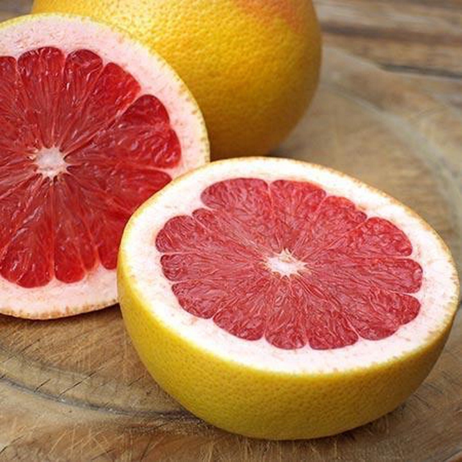 5 galllon. Florida only! Ruby Red Grapefruit Tree, 3-5 feet tall, grafted