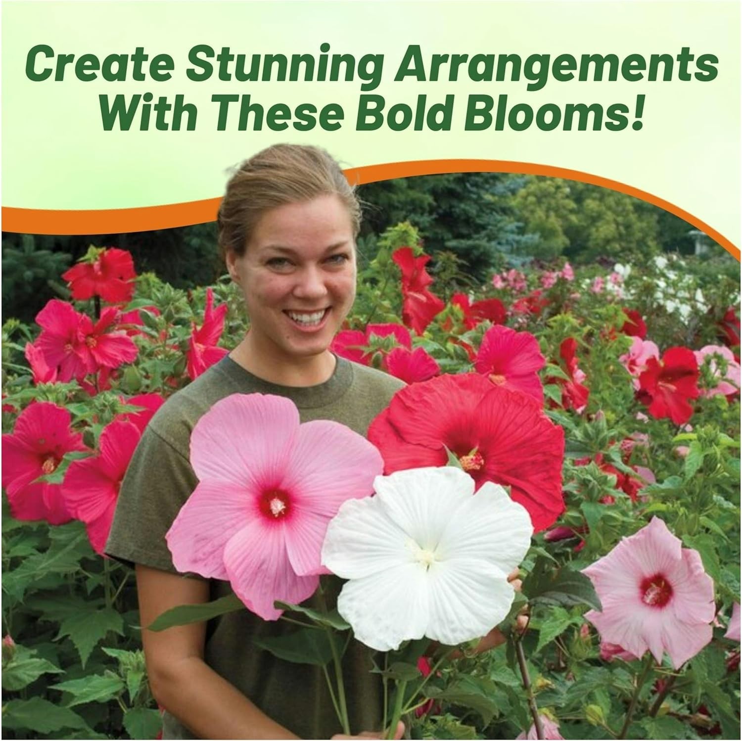 10 Seeds Hibiscus Luna Perennial Flower Seed Mix