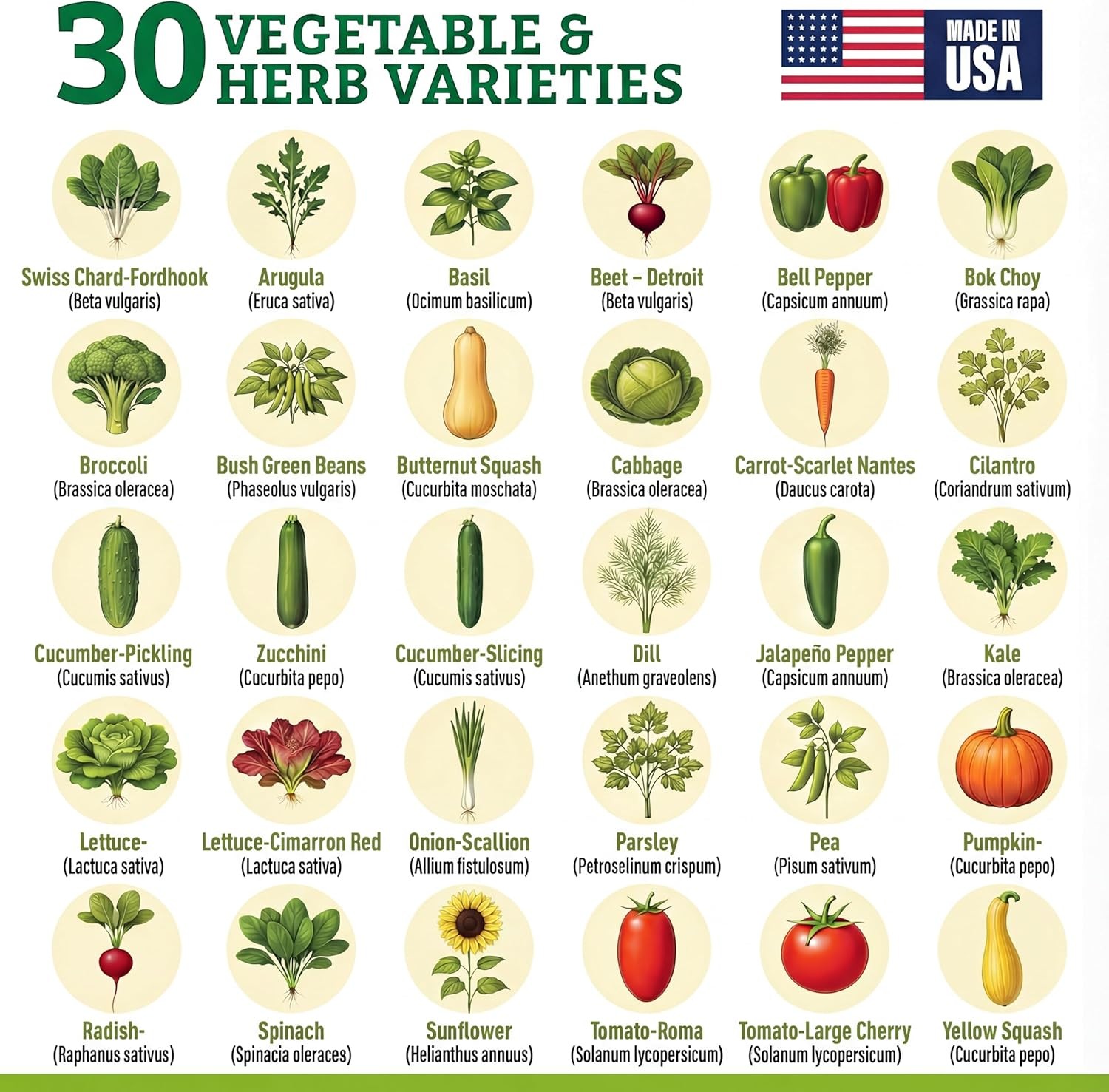 Heirloom Vegetable & Herb Seeds Variety Pack – 30 Non-GMO Garden Seeds