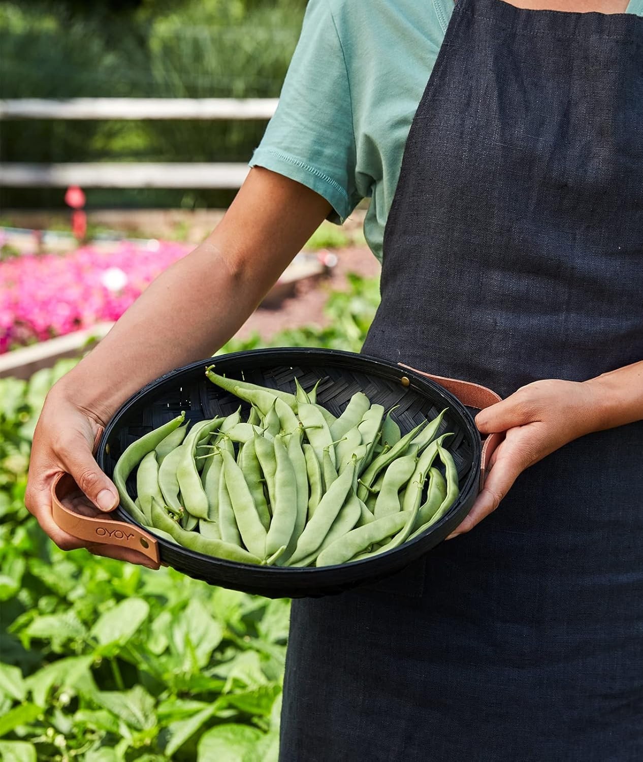 Early Italian Bush Bean Seeds 2 Oz – Perfect for Small Spaces & Containers