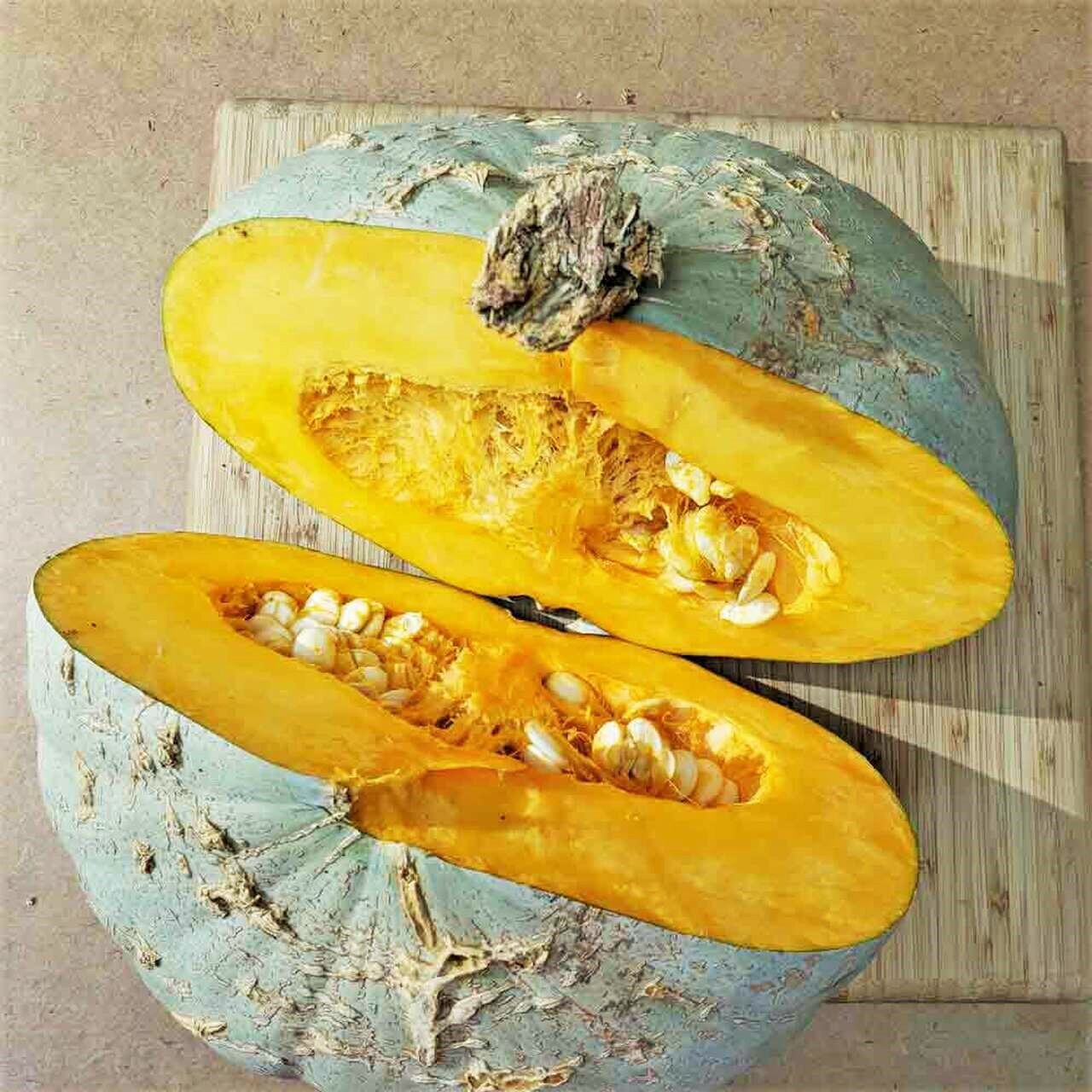 Sweet Meat Winter Squash Seeds | Blue Kuri Kabocha Jarradale Pumpkin Seed 2024