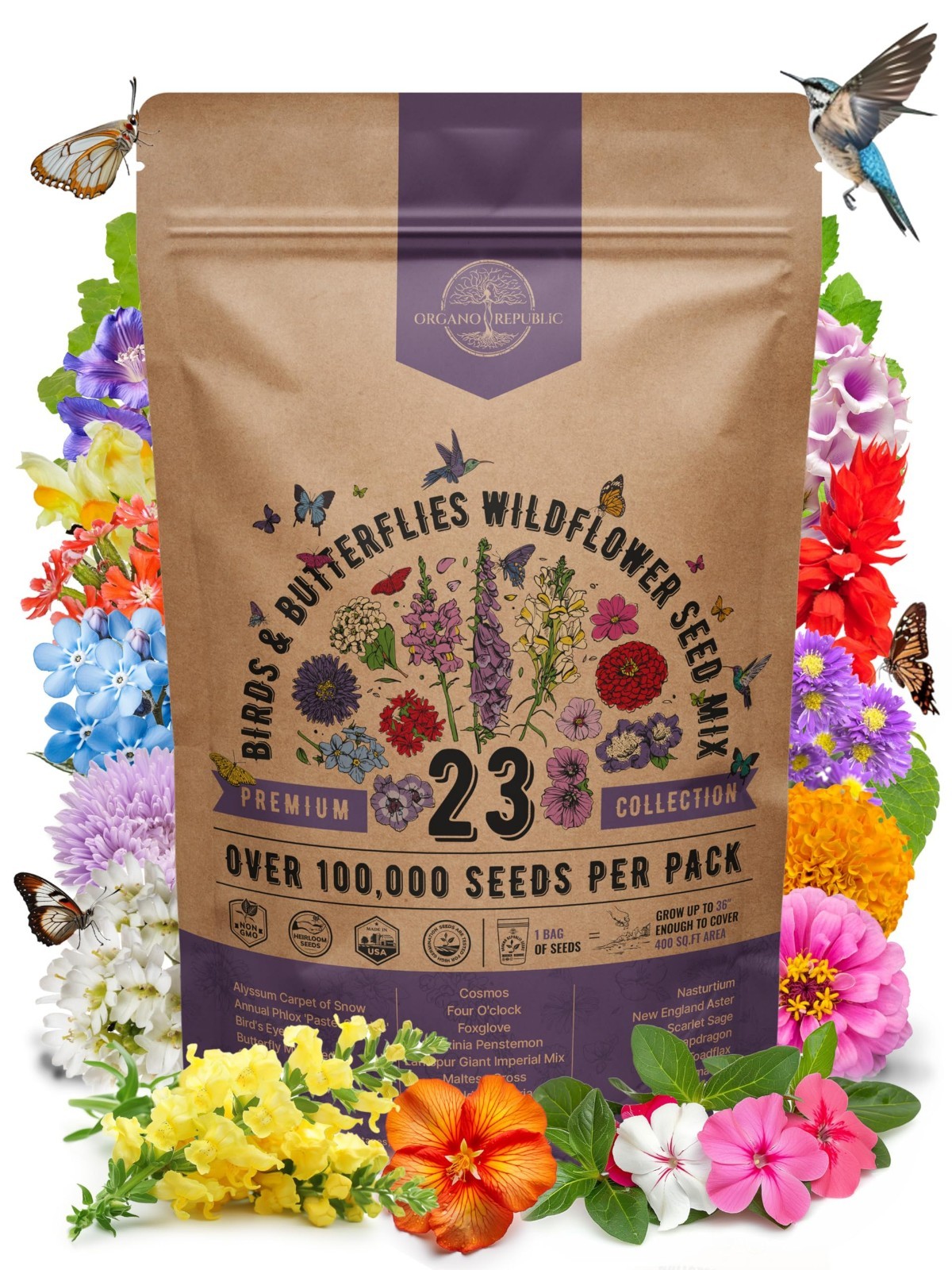 Wildflower Seeds Mix for Indoor & Outdoor Garden, Attract Birds & Butterflies, 1
