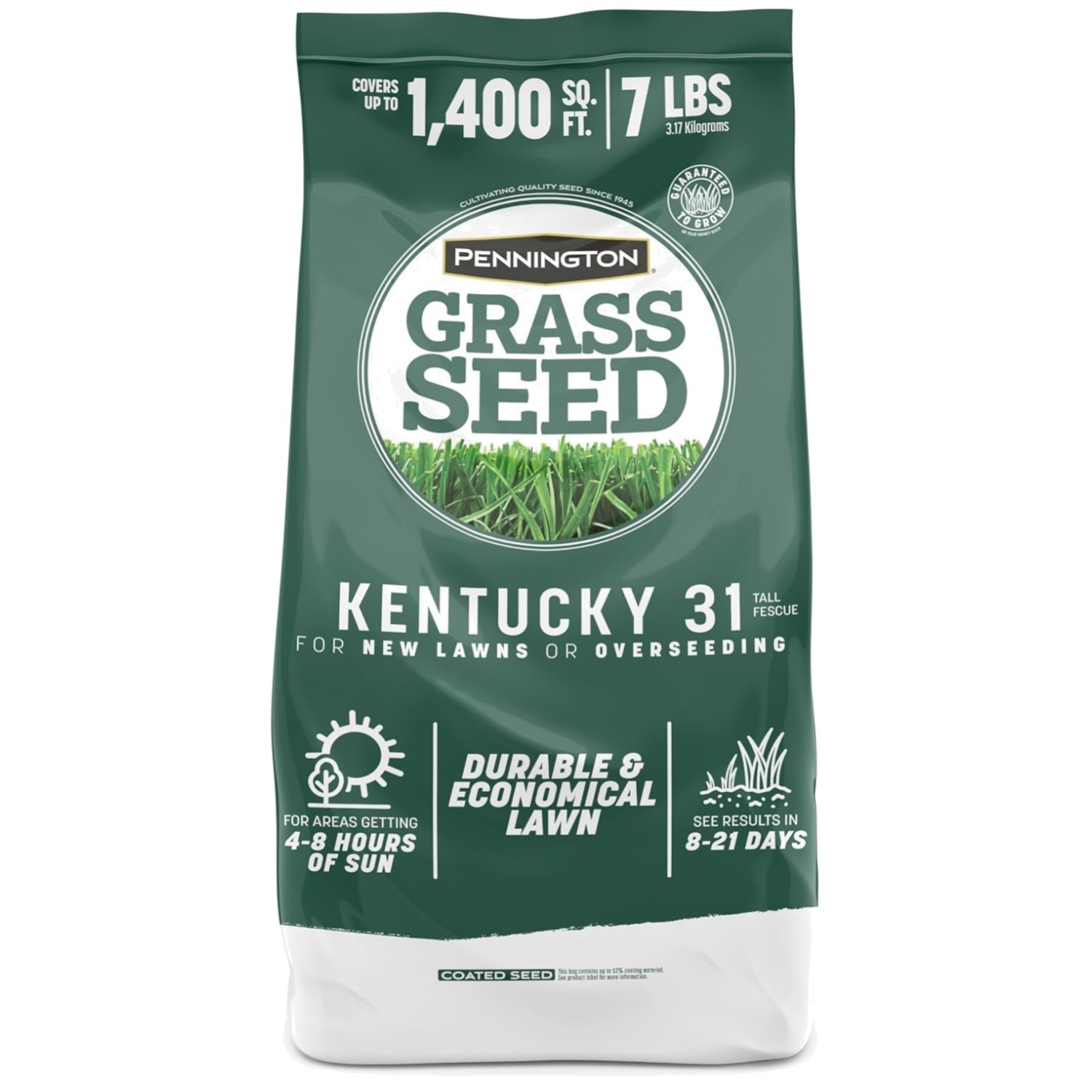 Kentucky 31 Tall Fescue Grass Seed – Durable & Economical