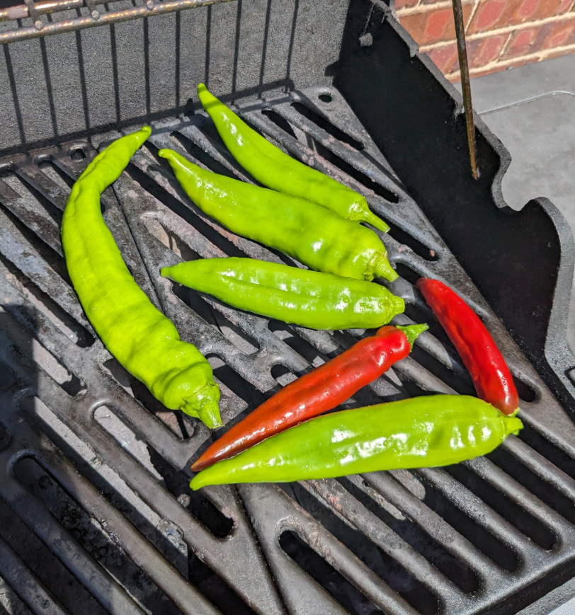 RARE✿ NEW! Big Jim Hot Chili Pepper 15+ Seeds