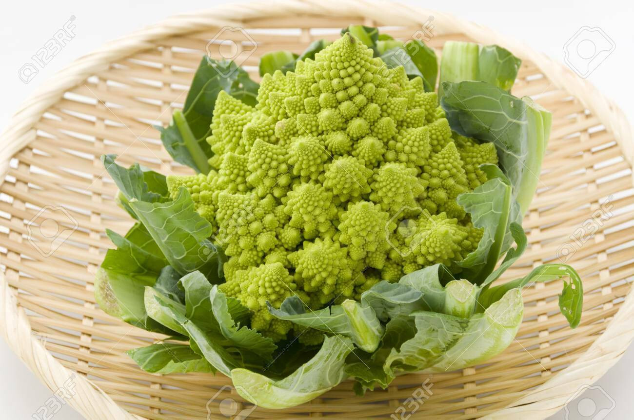 ROMANESCO BROCCOLI 250 SEEDS FRESH FOR 2024 GARDENS