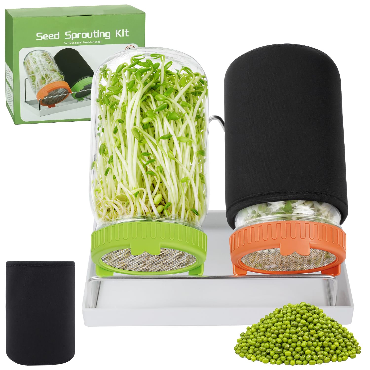 Seed Sprouting Kit with Mung Beans 80g 2 Large Wide Mouth Mason Jars with Sprout