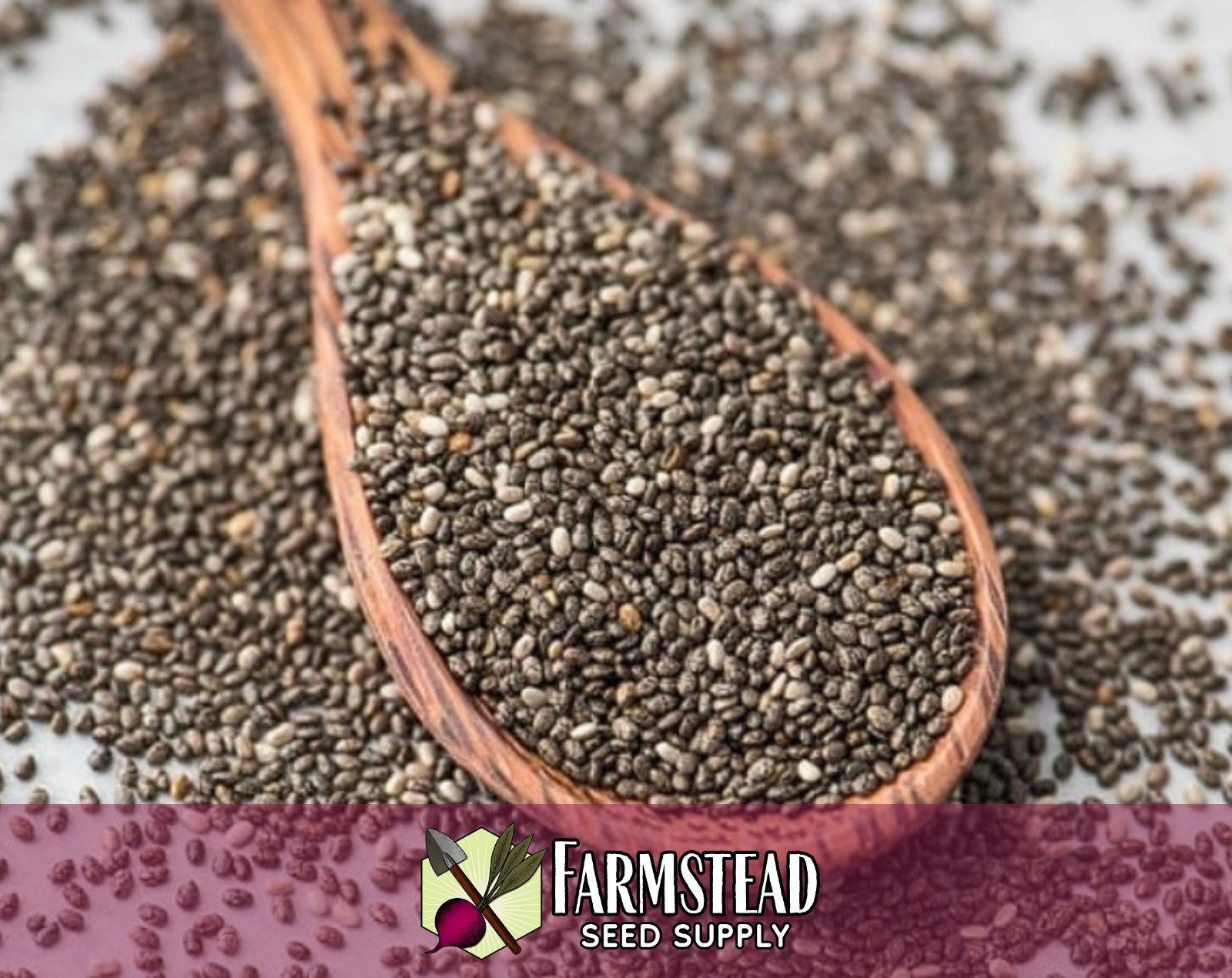 6,400+ Chia Seeds | Chia Pet Seed, Sprouting Seeds, Pollinator Flower Gardening