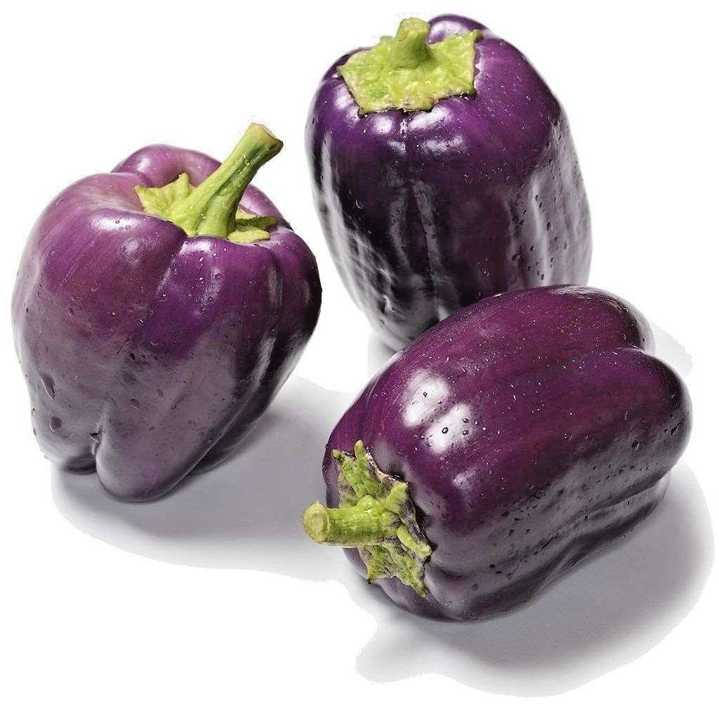100+PURPLE Beauty Sweet BELL PEPPER Seed Organic Vegetable Garden Container Easy