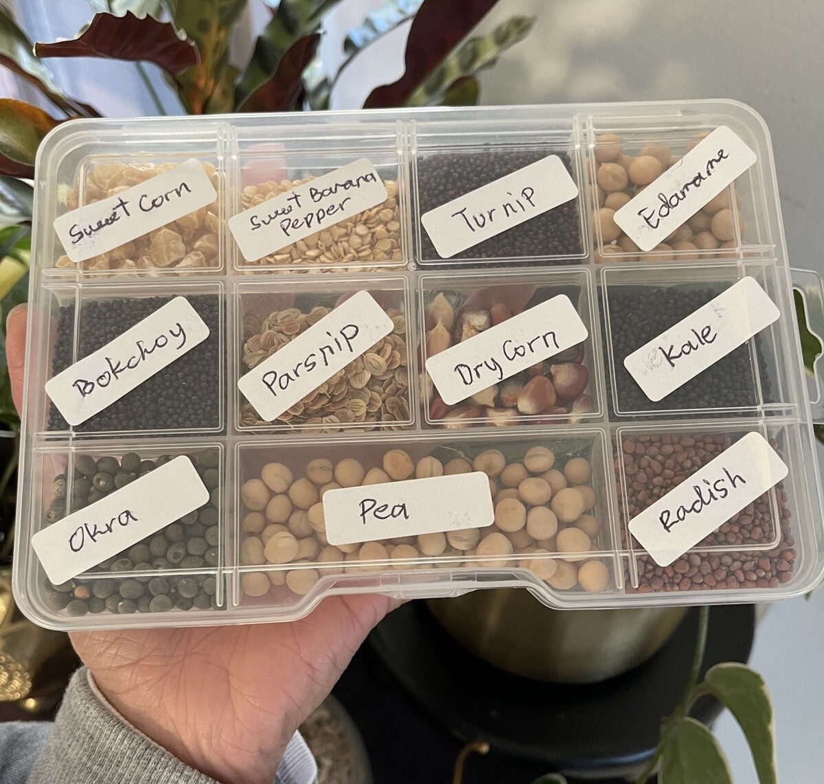 Seed Bank Package