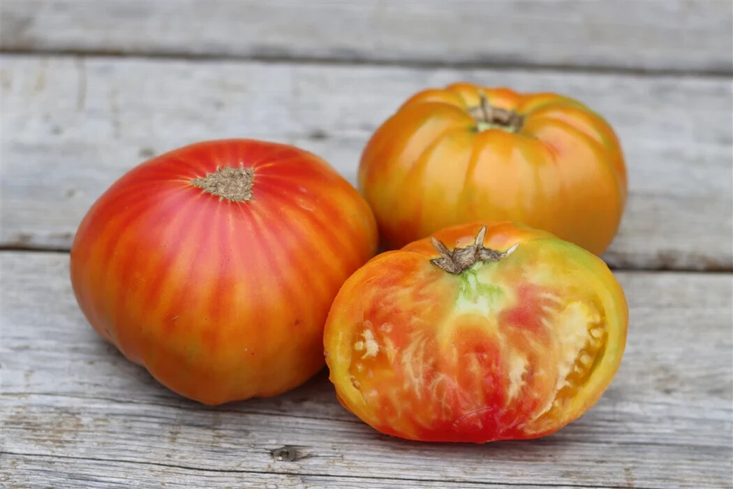 Pineapple Slicing Tomato Seeds (30) / FLORIDA GROWN / DELICIOUS / Indeterminate