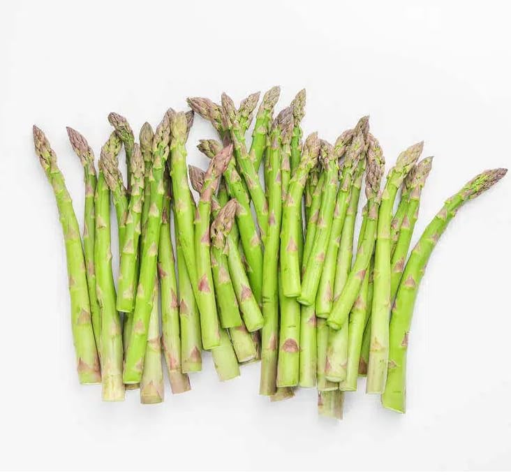 500+ Mary Washington Asparagus Seeds for Planting, Heirloom Non-GMO Seeds,