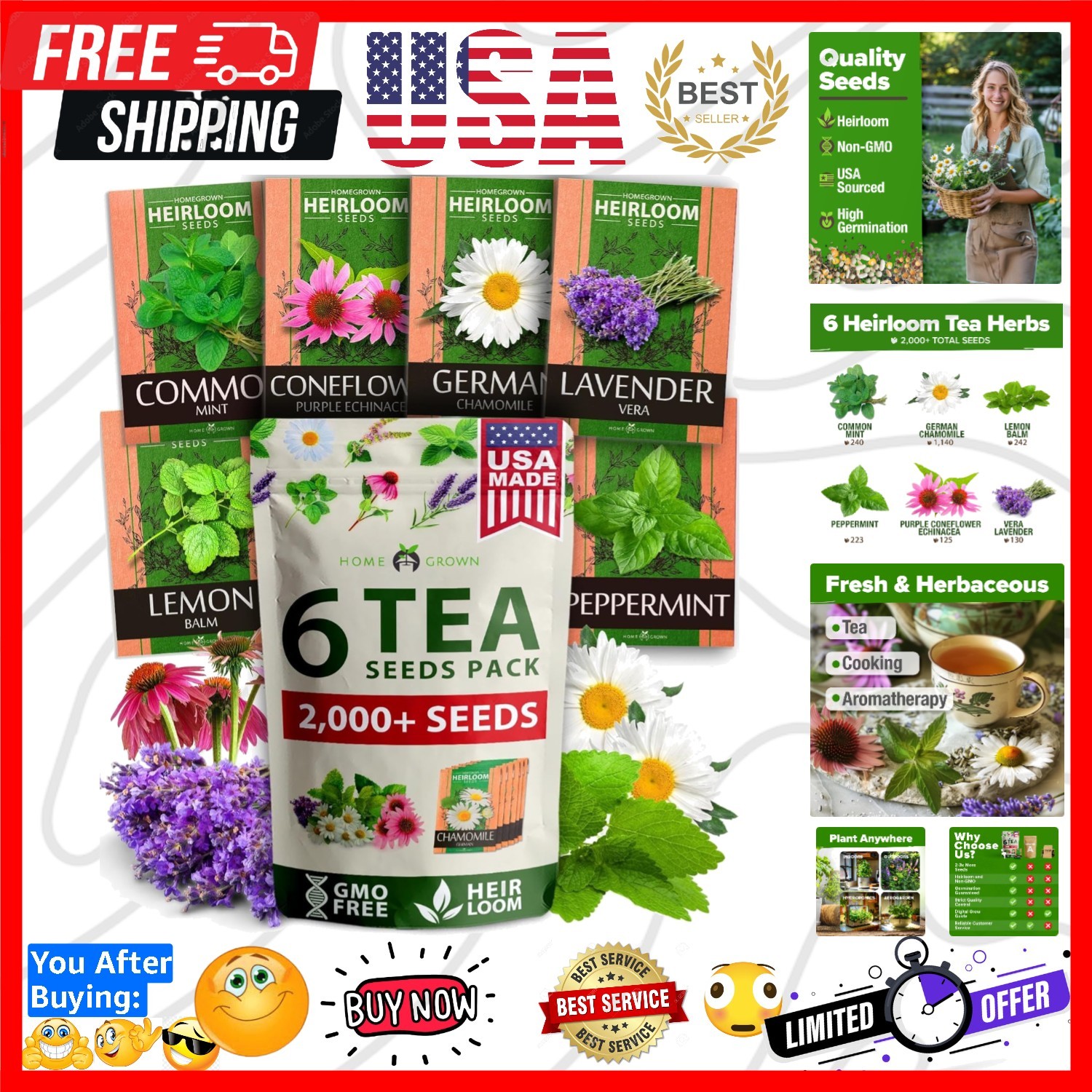 Medicinal Herb Seeds Vault – 2,000+ NON-GMO Heirloom Seeds for Indoor & Outdoor