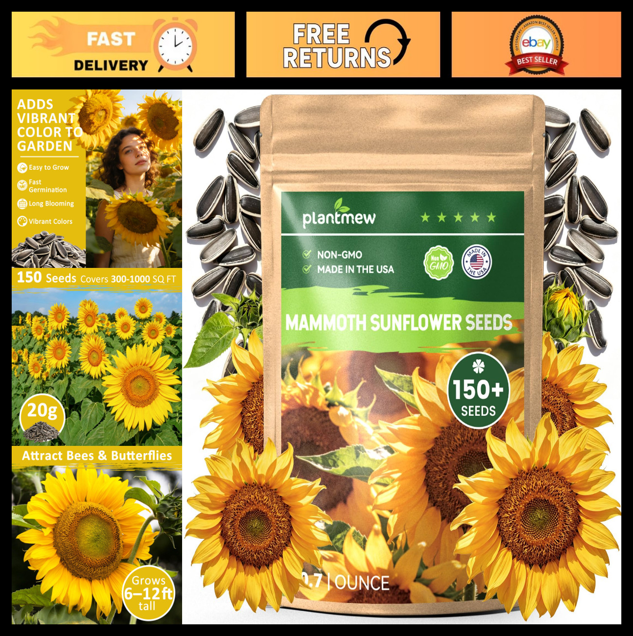 150+ Giant Sunflower Seeds for Planting – Extra Tall Blooms, Easy to Grow, 0.7 O