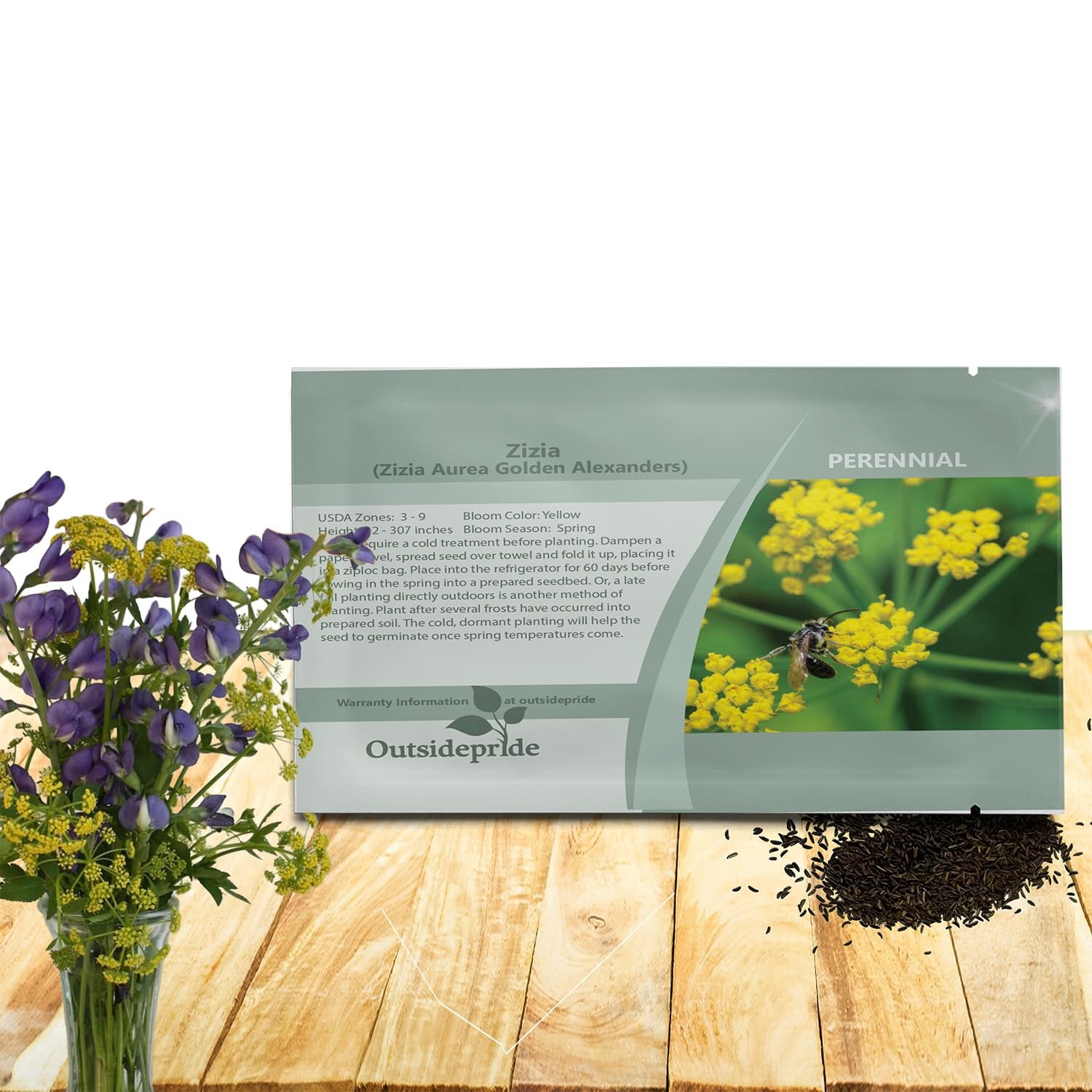 Outsidepride Zizia Aurea Golden Alexander Seeds – 1000 Pcs Perennial, Yellow Flo