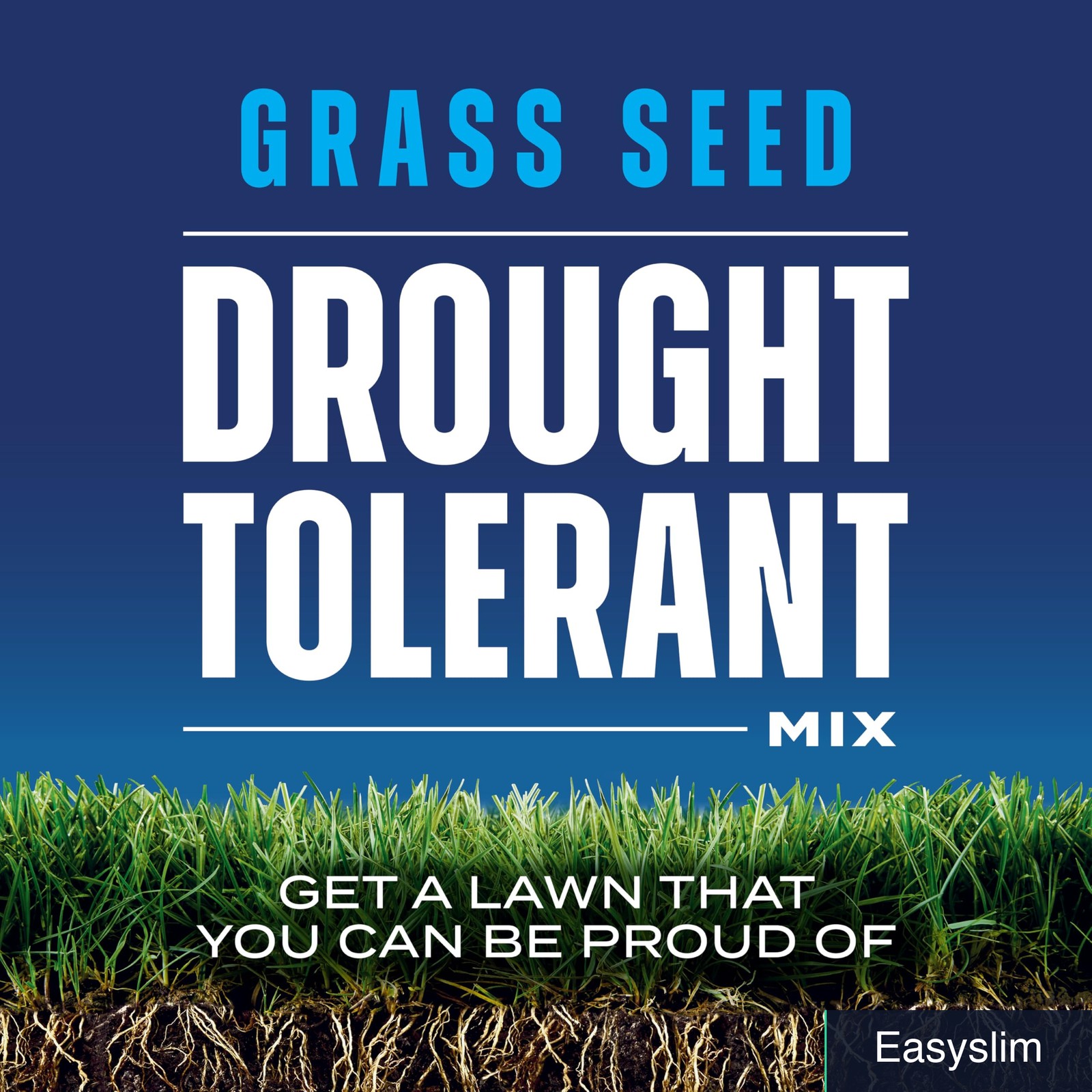 Grass Seed Drought Tolerant Mix Kentucky Bluegrass Tall Fescue 10 lb