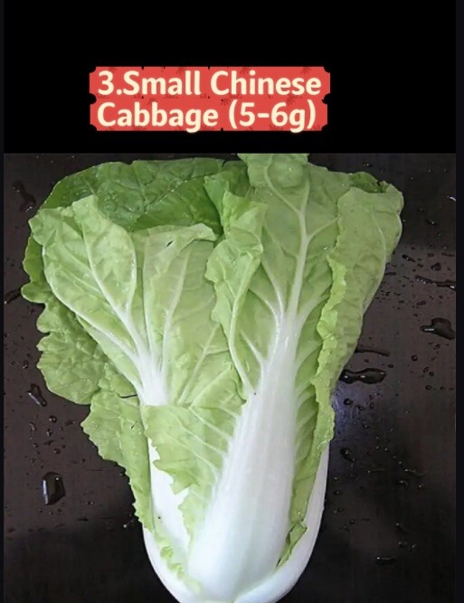 Asian Vegetable Seeds Survival Garden Kit -9 Varieties Spring & Autumn Seeds