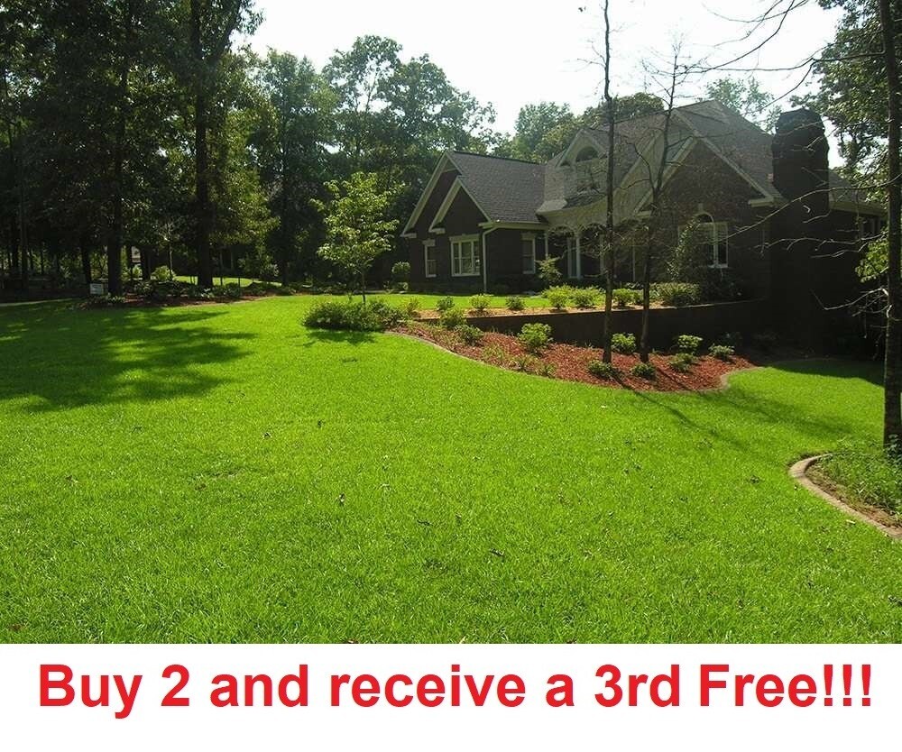 Centipede Grass Seeds – 4 ounce bag – can cover up to 1250 sq feet