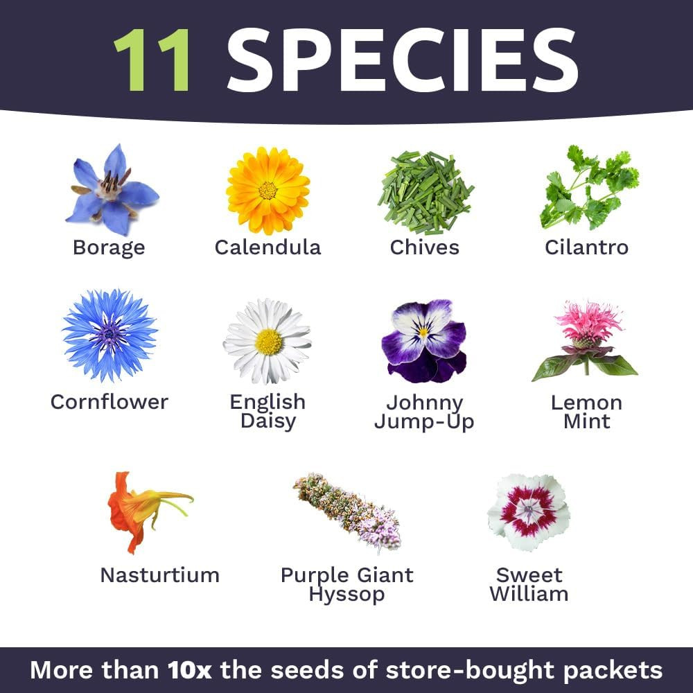 Wildflower Seeds Edible Flowers Mix – 1 Ounce Over 7,000 Open Pollinated Annual