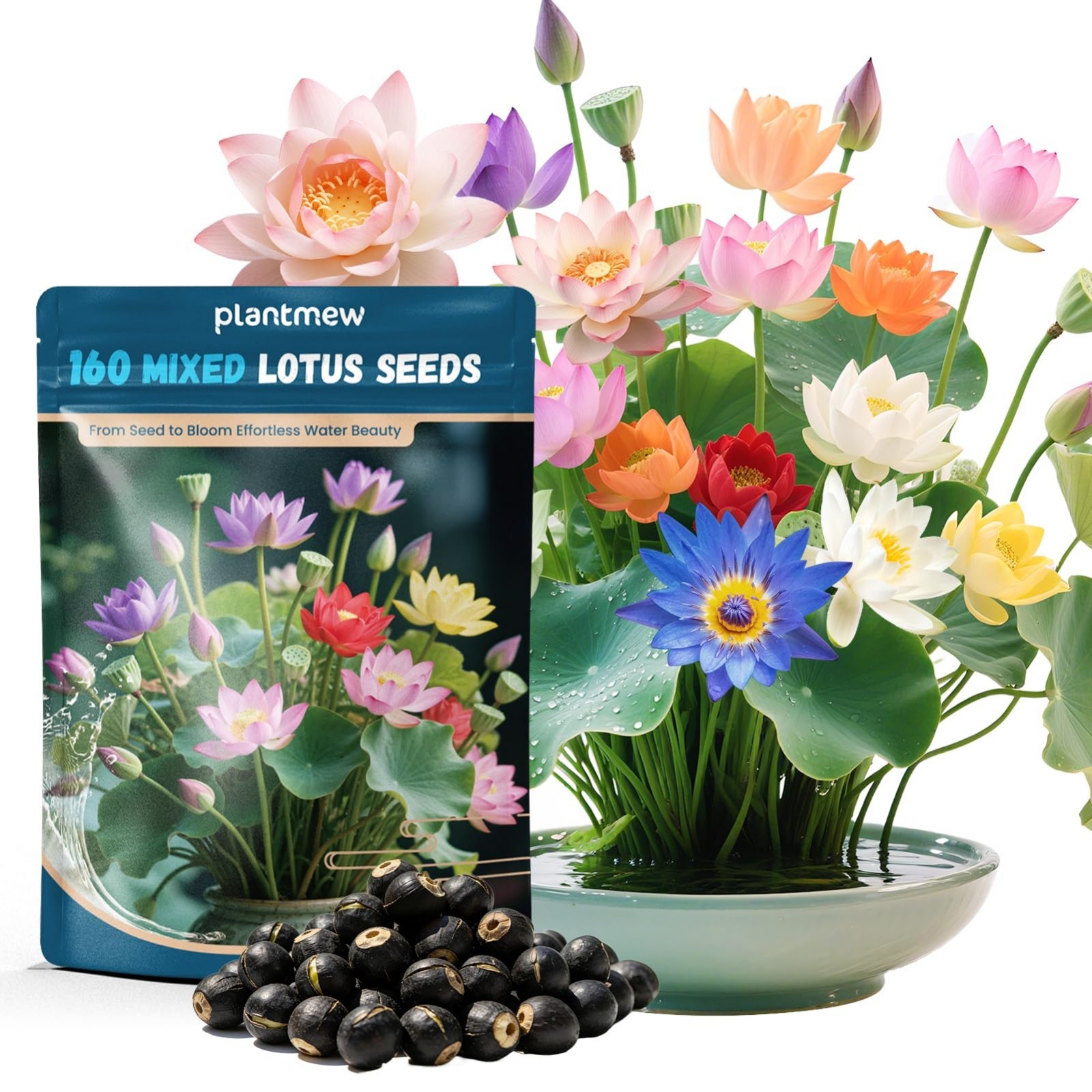 Mixed Bowl Lotus Seeds for Planting in Water – 160 PCS Water Lily & Pond Plants,