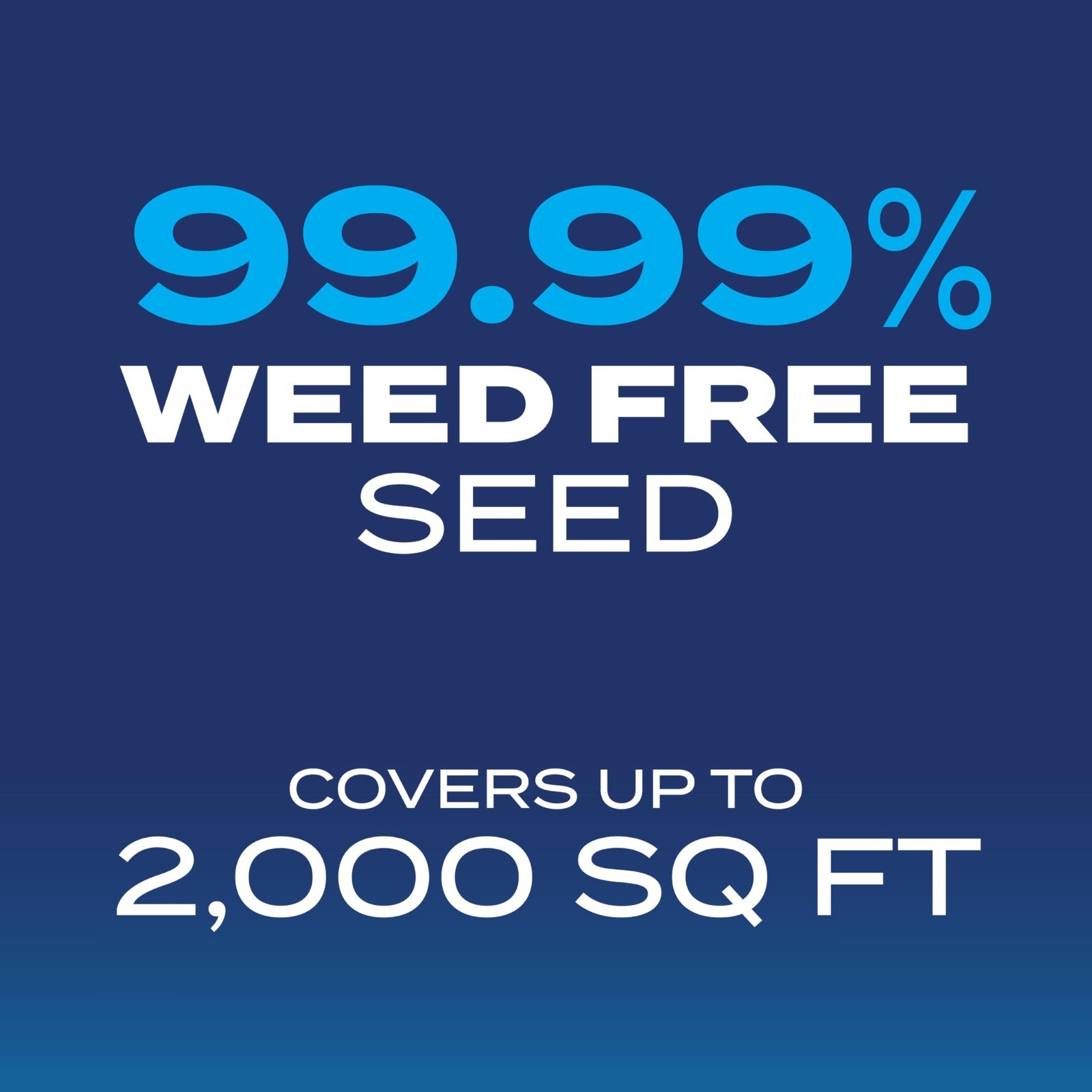 Drought Tolerant Grass Seed Mix – Kentucky Bluegrass & Tall Fescue, 4 lb, Covers
