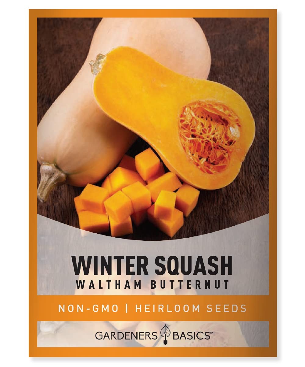 Gardeners Basics, Butternut Squash Seeds for Planting – Waltham Heirloom Non-…