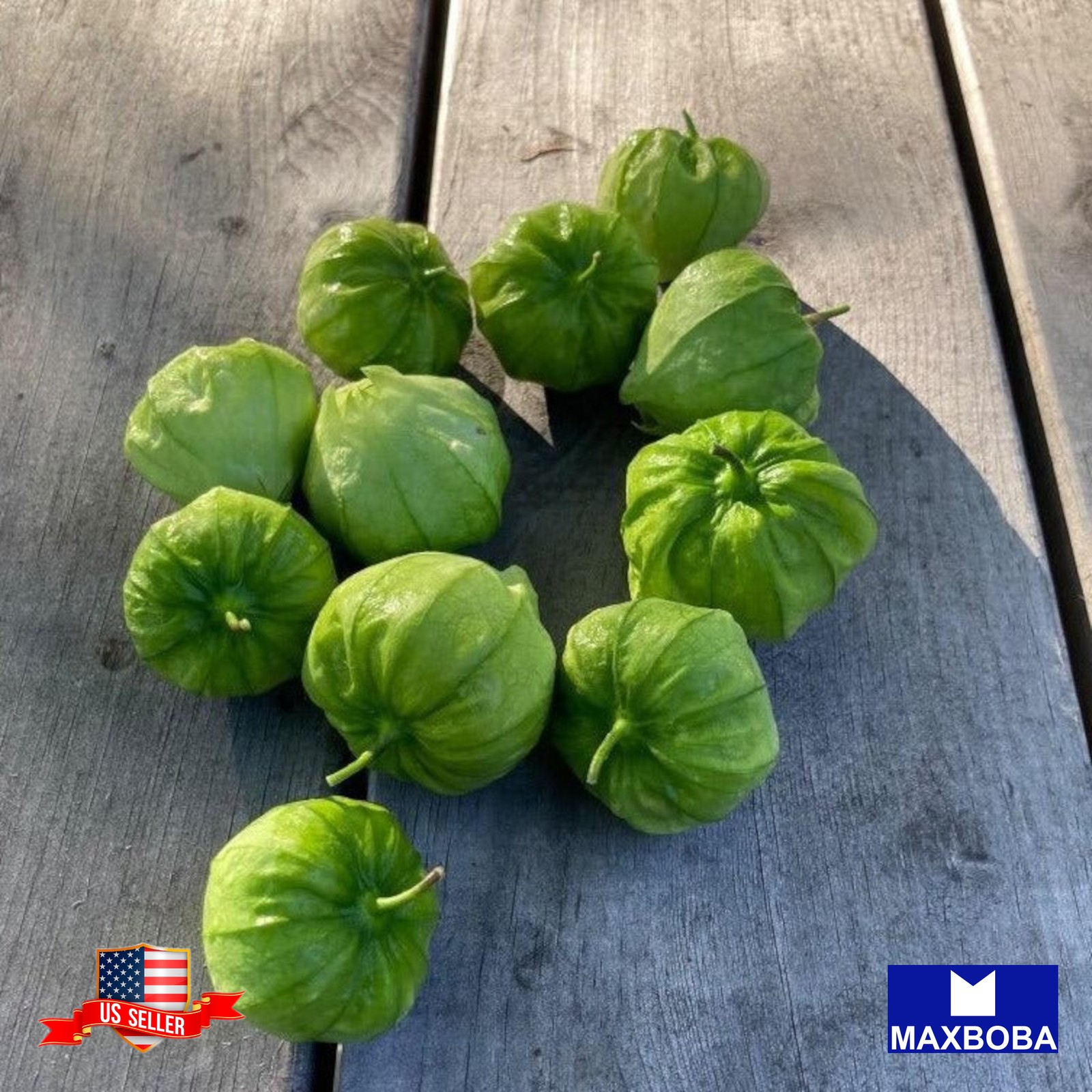 200 Tomatillo Seeds Toma Verde Non-GMO Heirloom BOGO 50% OFF