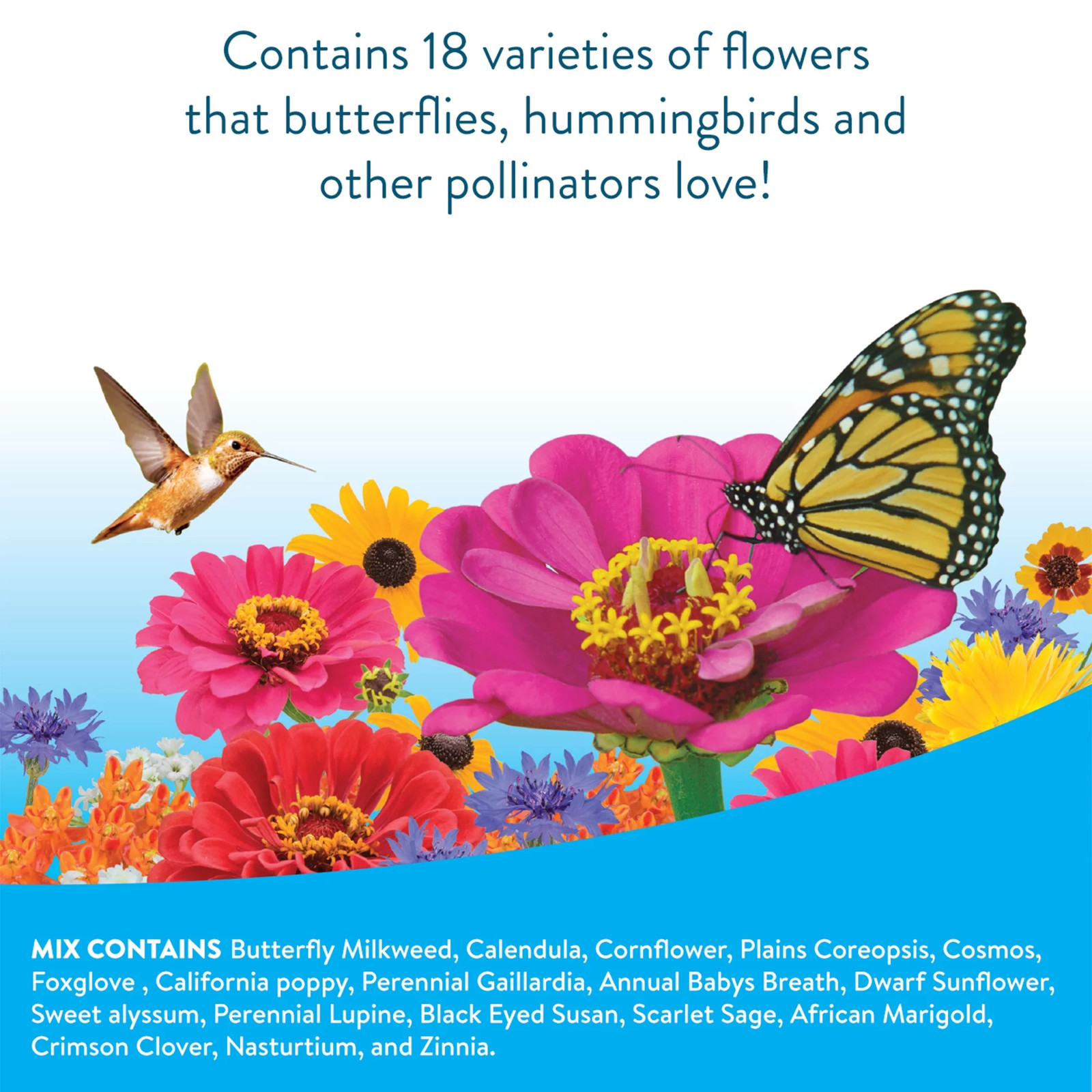 Hummingbird & Butterfly Mix Wildflower Seeds – Non-Gmo, Attracts Pollina