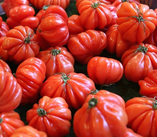 120+ OAXACAN PINK TOMATO SEEDS — MEXICAN — HEIRLOOM ——— RARE