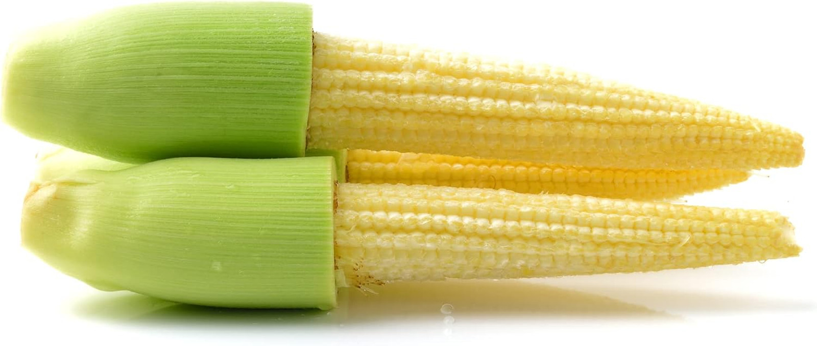 Fast-Growing Hulless Corn Seeds “Japanese Hulless” – Hulless Popcorn or “Baby Co