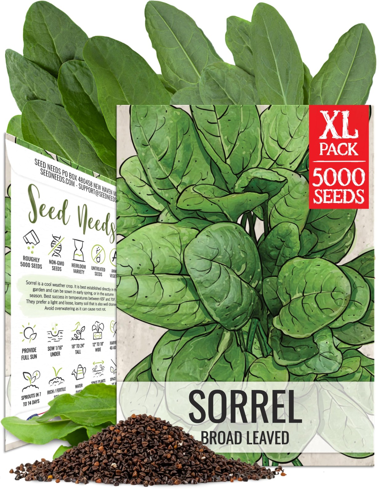 Large Leaf Sorrel Seeds Planting Heirloom NonGMO Culinary Herb Garden Packs