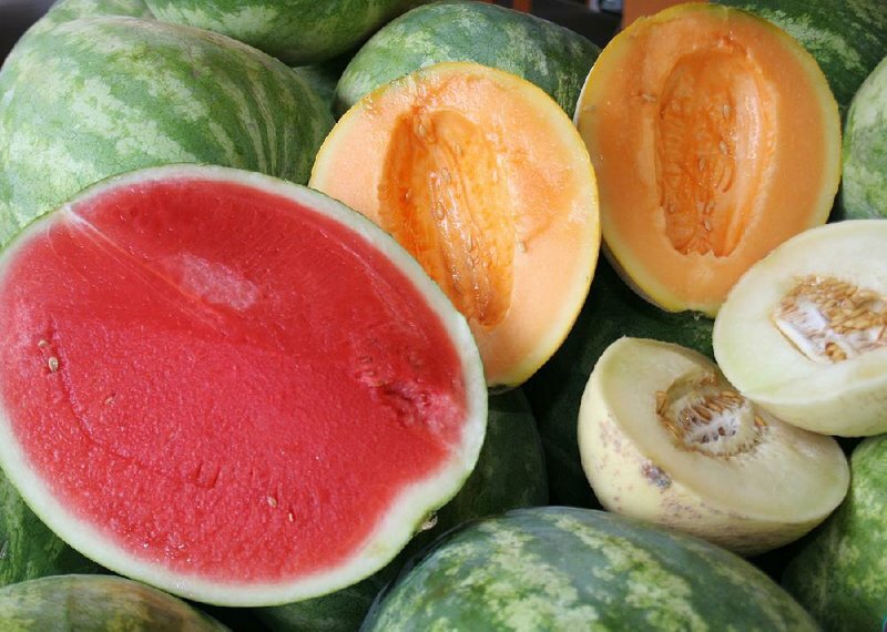 Fruit and Vegetable Garden Seed Kit | 50+ Seeds Each Watermelon, Cantelope, Toma